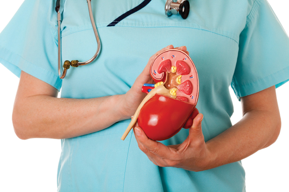 How kidneys “hurt”: pyelonephritis