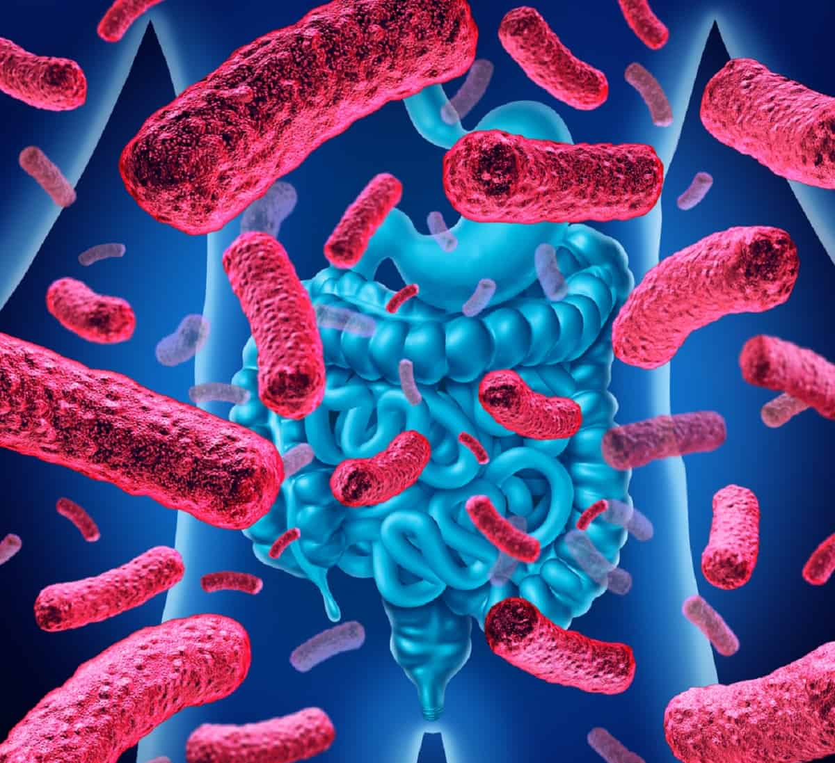 Dysbacteriosis: what can be confused with